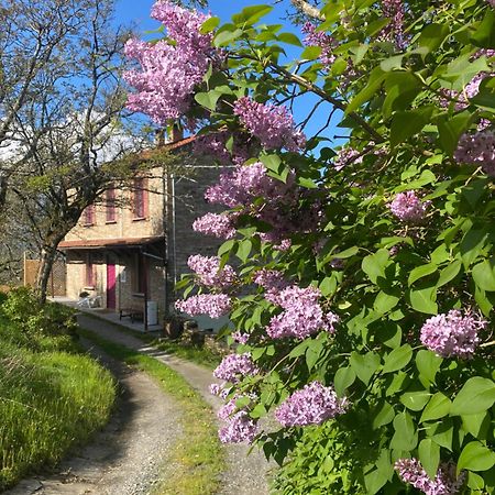 Bed and Breakfast La Lupa E L'Orso Berceto Exterior foto