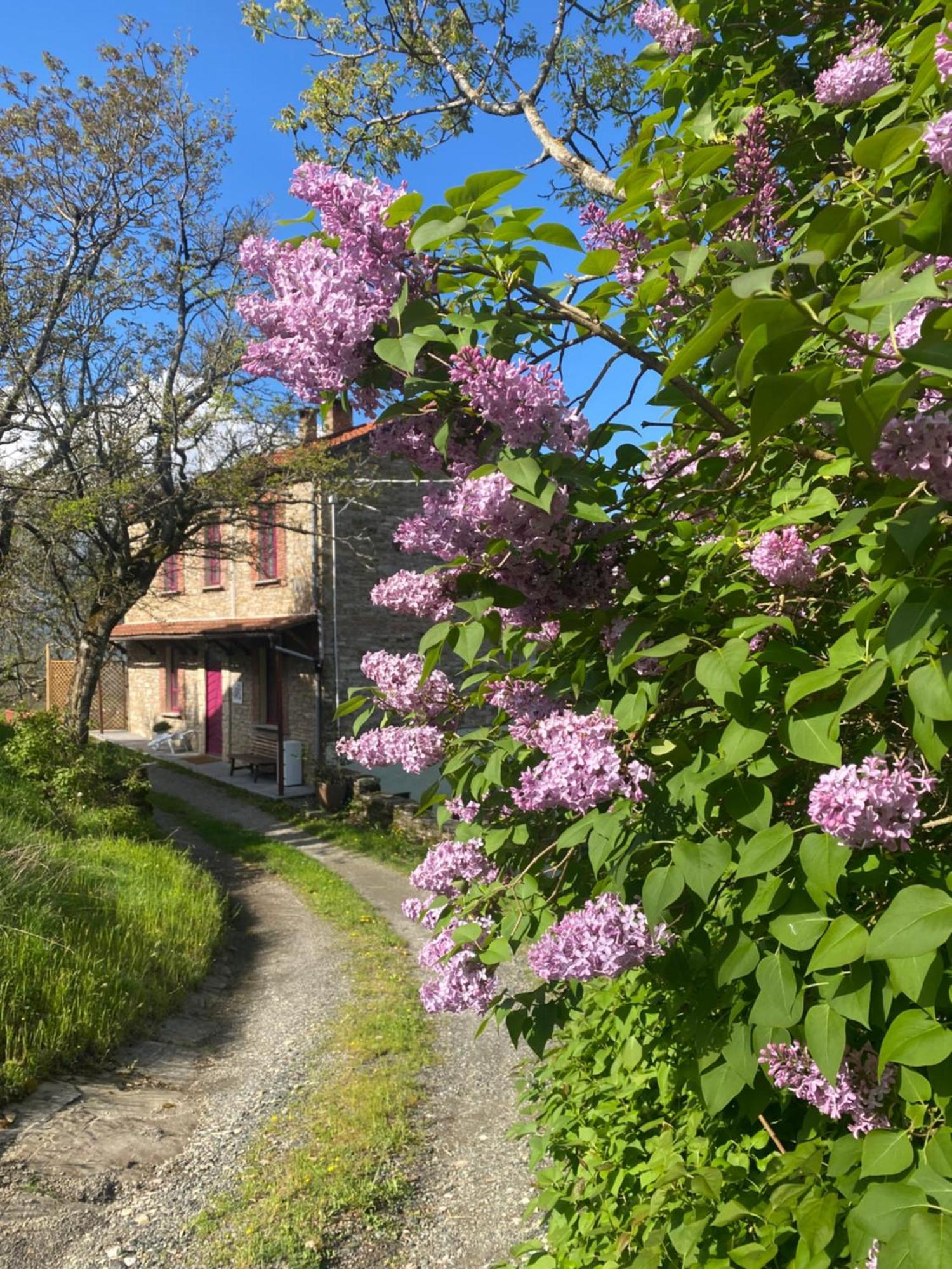 Bed and Breakfast La Lupa E L'Orso Berceto Exterior foto